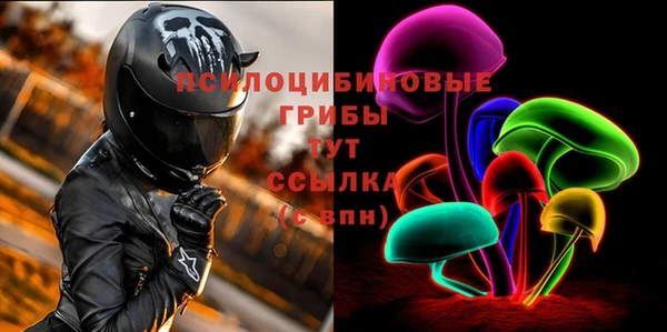хмурый Абинск